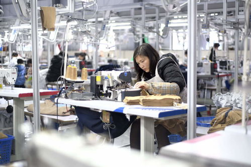 服裝輔料制造業(yè)沖刺開門紅，企業(yè)生產(chǎn)忙助力經(jīng)濟(jì)穩(wěn)增長